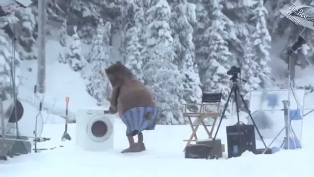 Медведь играет на гитаре. Прикол. смотреть онлайн