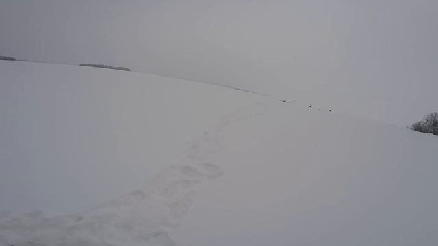 Зимня рыбалка 2018 Сямозеро смотреть онлайн