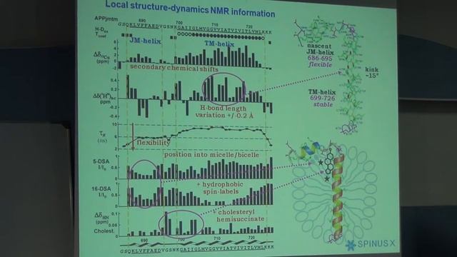 Структура и специфические взаимодействия трансмембранных доменов битопных белков смотреть онлайн
