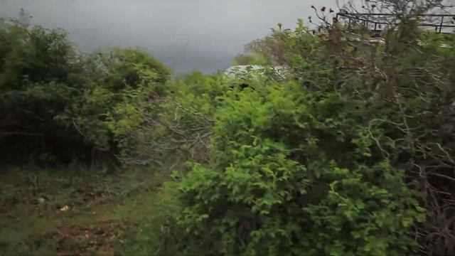 Toyota Land Cruiser 80