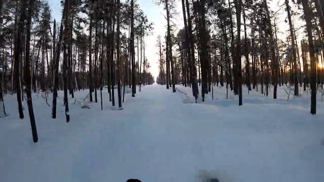 Тайга Патруль 800 на закате пробивает дорогу. Просто красивое видео. смотреть онлайн