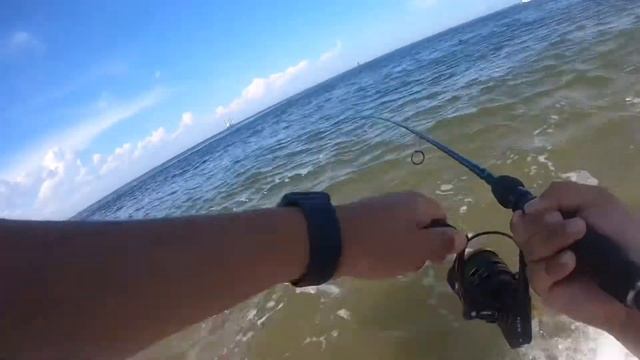 Non stop action on Deadly Dick lures Surf fishing the Jersey shore .New species ? смотреть онлайн