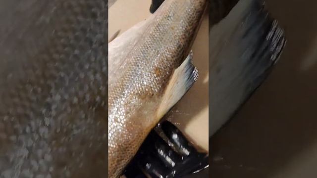 Бюджетный мастер-класс