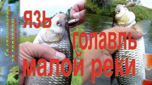 Осень.Спиннинг.Ловля на воблеры_ Язя, Голавля.