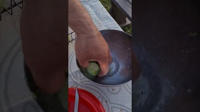 Шашлык из куриной печени смотреть онлайн