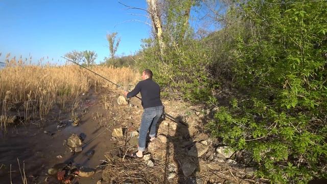 #7 Рыбалка с Берега на Большой Реке Волге. Ловля Крупной Рыбы на Фидер - Донка смотреть онлайн