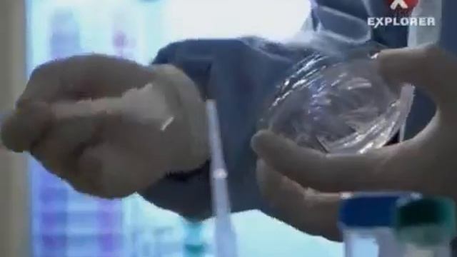 Стволовые клетки смотреть онлайн