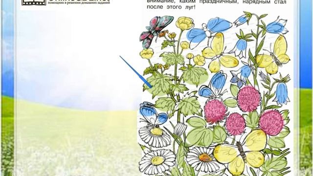 Задание 3 Почему мы не будем рвать...? - Окружающий мир 1 класс (Плешаков А.А.) 2 часть смотреть онлайн