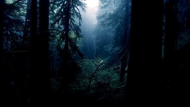 ЖАРЛИКДАН ЎЗИНГНИ ТАШЛА тасирли ривоят хамма эшитсин смотреть онлайн