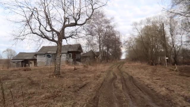 Заброшенная деревня в Тверской области. Сонковский район. Дома в которых можно жить смотреть онлайн