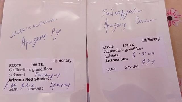 Какие цветы планирую вырастить 2022 году смотреть онлайн