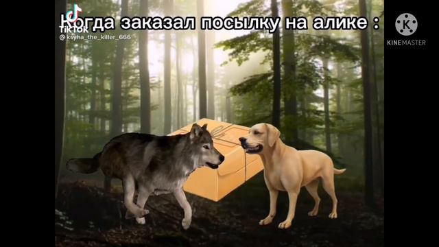 Гача ржача№1