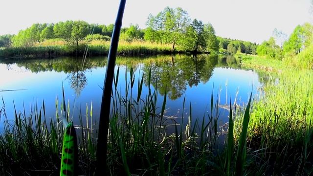 За щукой на малую речку с крупным воблером. StrikePro Montero 130 sp косит щуку!!! смотреть онлайн