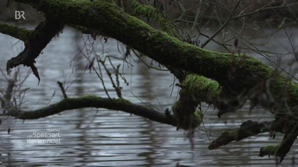 Winter im Maindreieck: Mehr als Wein und Tourismus | Zwischen Spessart und Karwendel | Doku