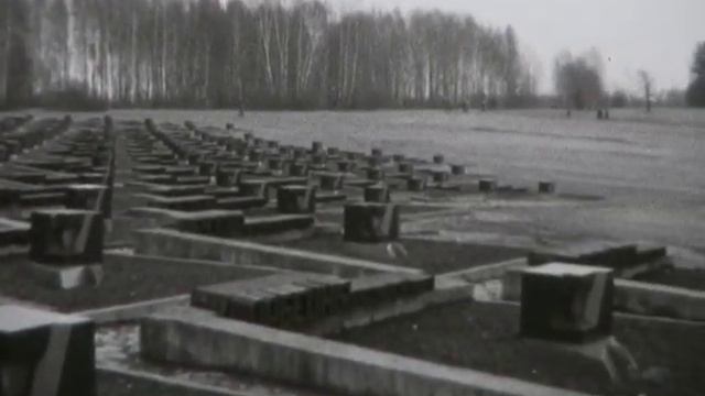 чб кинопленка_простая оцифровка смотреть онлайн