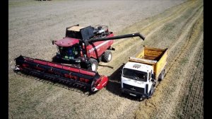 Зерноуборочный комбайн ПАЛЕССЕ GS2124 (Gomselmash), работа комбайна gs2124.Уборочная 2022