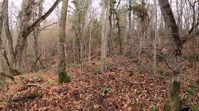 Пролог Кубка Президента МФР по экстрим эндуро Орленок 2021 смотреть онлайн