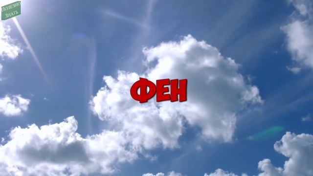 ✅Вот как легко убрать ЖВАЧКУ с ОДЕЖДЫ ⚡4 способа БЫСТРО вывести жвачку смотреть онлайн