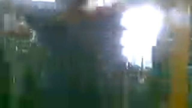 scafati scimmia in gabbia matteo brtella смотреть онлайн