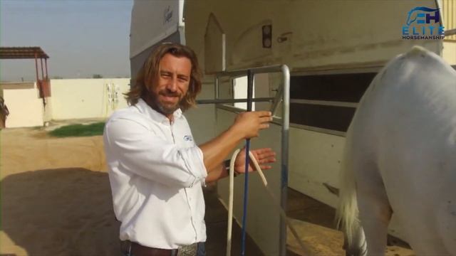 Trailer Loading - How to Fix Anything with Horses presented by Elite Horsemanship смотреть онлайн