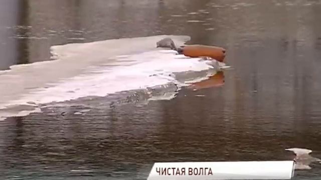 Только 10% предприятий области имеют собственные очистные сооружения смотреть онлайн