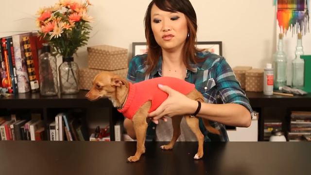 Make A Doggie Sweater With No Sewing // NO SEW DOG (PET) SWEATER смотреть онлайн