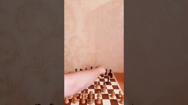 Королевский гамбит - соперник побит! смотреть онлайн