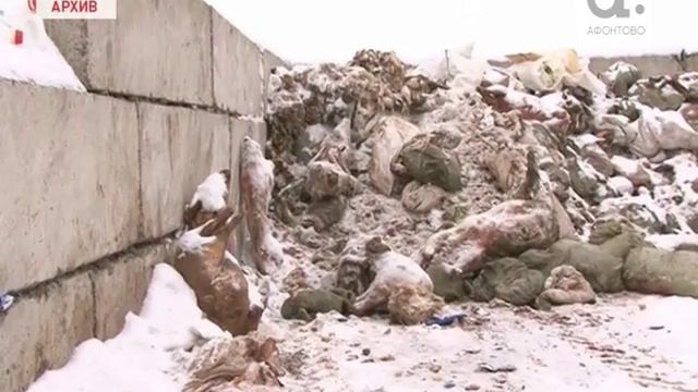 16 05 СЮЖЕТ СВИНОКОМПЛЕКС 2 03 17 смотреть онлайн