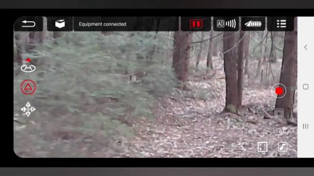 4DRC 4D V4 RICHIE DRONE testflight through Woods смотреть онлайн