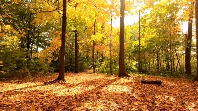 Молитва Сергию Радонежскому о детях смотреть онлайн