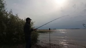 Сазан, карась, вот это рыбалка. Река Меша, Татарстан.