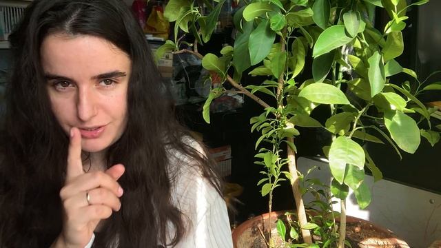 КАК ДЕЛА? (3/22) ПАРА СВАДЕБНЫХ НОСКОВ. ТЕСТИРОВАНИЕ ОПИСАНИЯ. ПРЯЖА ОПАЛ В ПЛЕЧЕВОМ ИЗДЕЛИИ смотреть онлайн