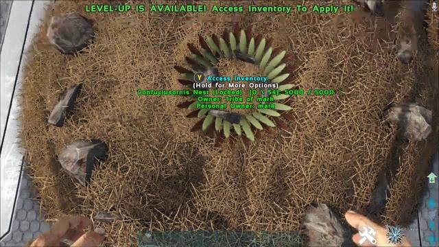 Ark Mod Review: Confuciusornis смотреть онлайн