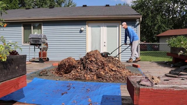 How to Mulch Leaves for your Compost (Lawnmower Method) смотреть онлайн