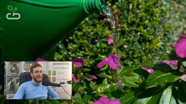 Всё об энзимах | Ферменты для растений | #growshop #enzymes #ситиферма смотреть онлайн