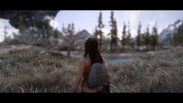Skyrim LE HDT Boob physics test смотреть онлайн