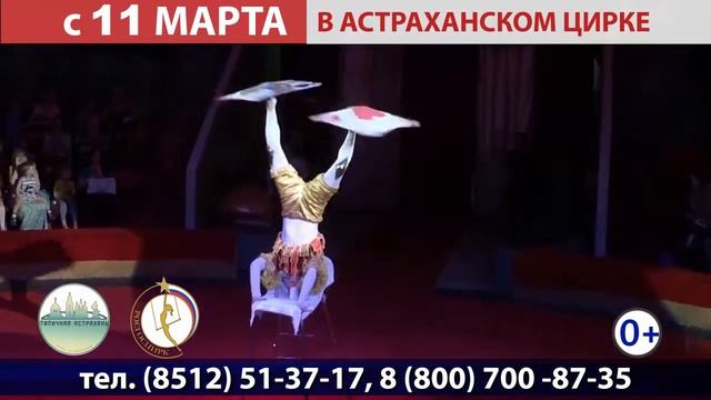 «Мир животных - Мир друзей» смотреть онлайн