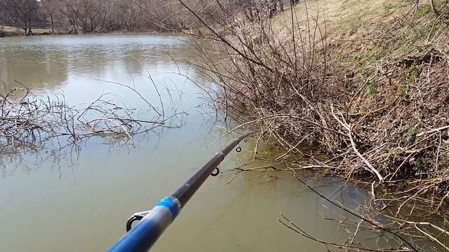 Ловля КАРАСЯ на поплавок и мотыль 2018 смотреть онлайн