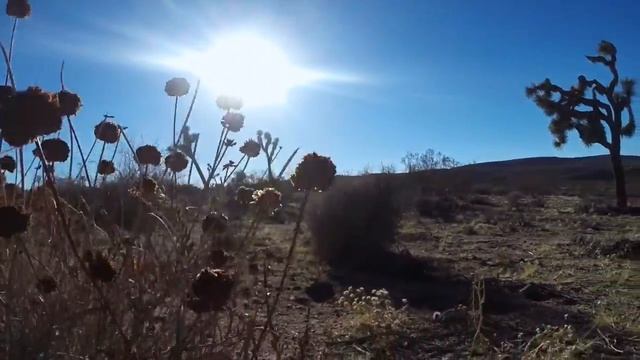 Yucca Valley - a walk смотреть онлайн