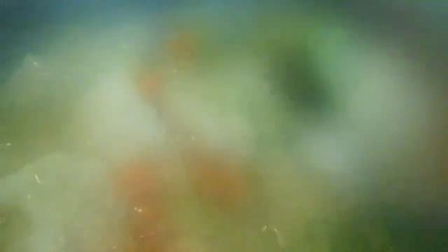 фитнес крем суп. Fitness Cream Soup.