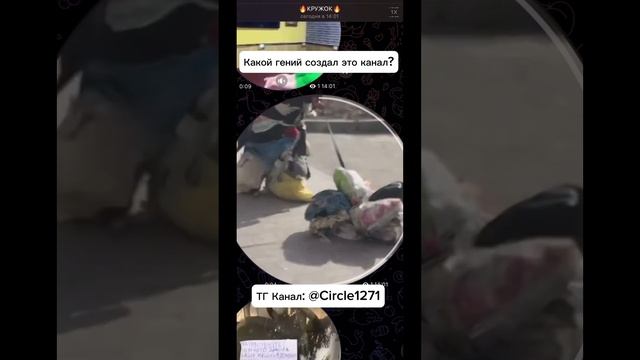 ТГ Канал: @Circle1271 #кружок #кружочки смотреть онлайн