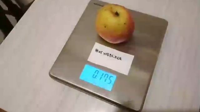 яблоня сорт Жигулевское от Железова В.К. смотреть онлайн