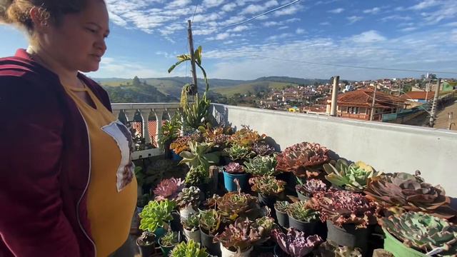 Suculentas Gigantes no Inverno (Matrizes) - Cuidados e dicas смотреть онлайн