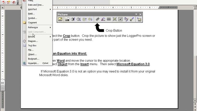 Using LoggerPro with Word смотреть онлайн