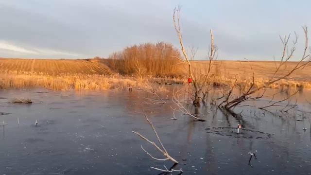 VLOG: РИБАЛКА. ЖЕРЛИЦІ. ЩУКА 1.5 КГ. НЕБЕЗПЕЧНИЙ ЛІД. смотреть онлайн
