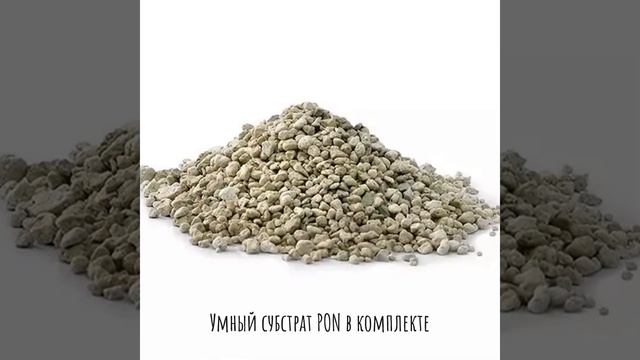 Высокие кашпо для цветов ? LECHUZA CANTO Stone High с автополивом? #shorts #lechuzamoscow #автополи смотреть онлайн