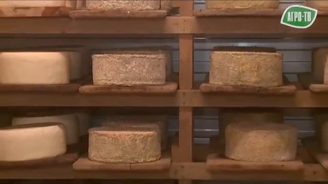 Proзапас. Переработка молока. смотреть онлайн