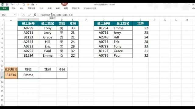 Excel职场十大明星函数教程-vlookup函数