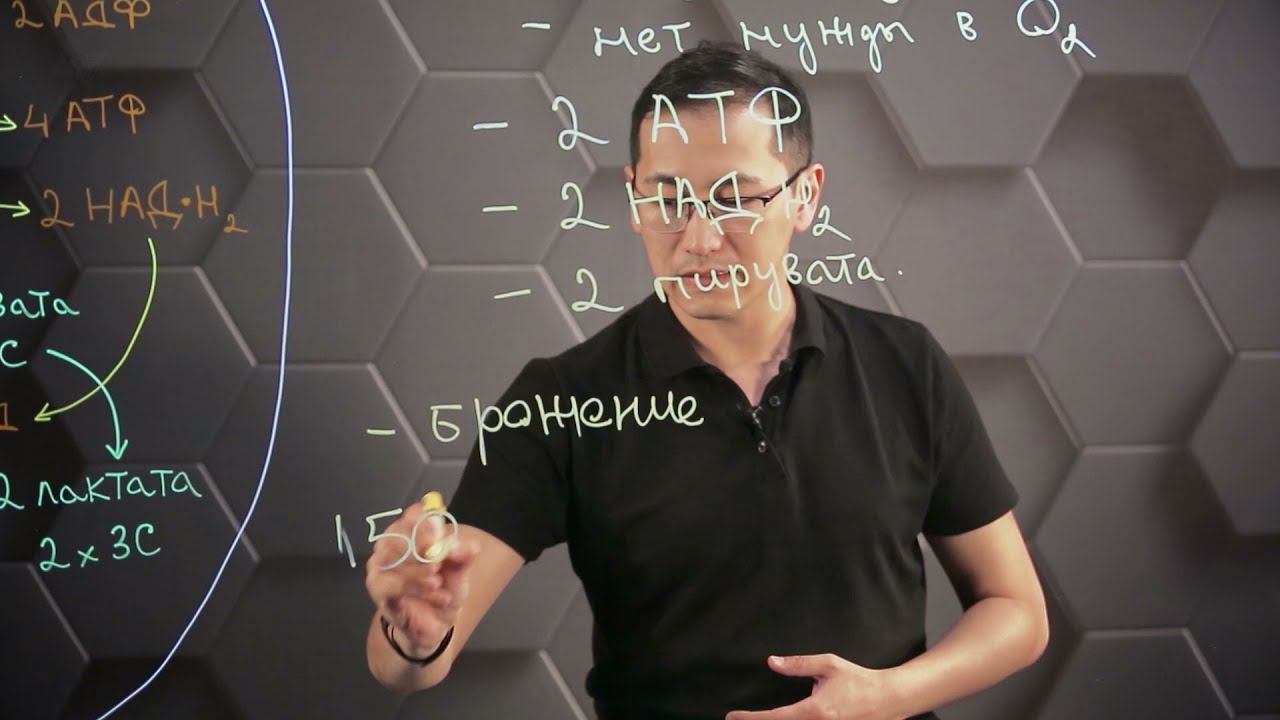 Синтез аденозинтрифосфорной кислоты. Этап анаэробного распада глюкозы. 10 класс. смотреть онлайн