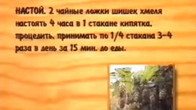 Лекарственные растения Хмель обыкновенный смотреть онлайн
